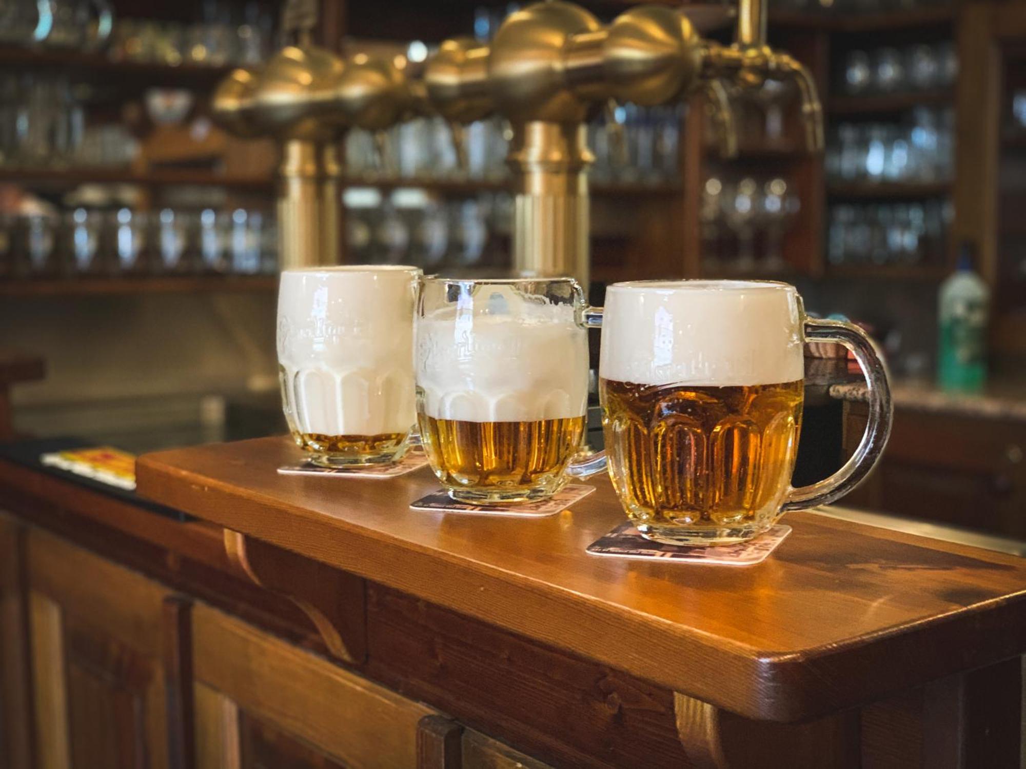Hotel U Zeleneho Stromu Nepomuk Bagian luar foto