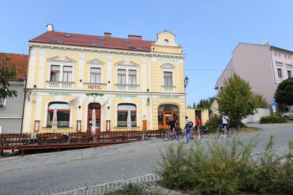 Hotel U Zeleneho Stromu Nepomuk Bagian luar foto